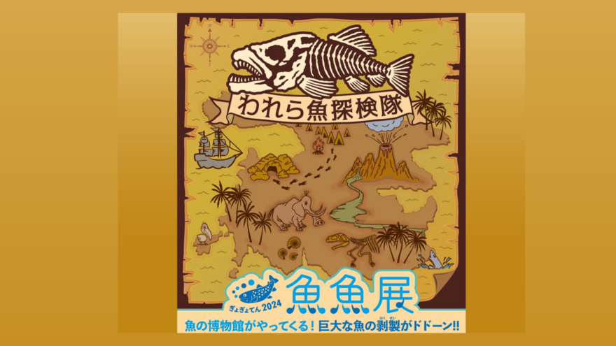 幻の深海魚に会える！日本最大級のはくせい展覧会「魚魚展2024」で海の不思議を体験