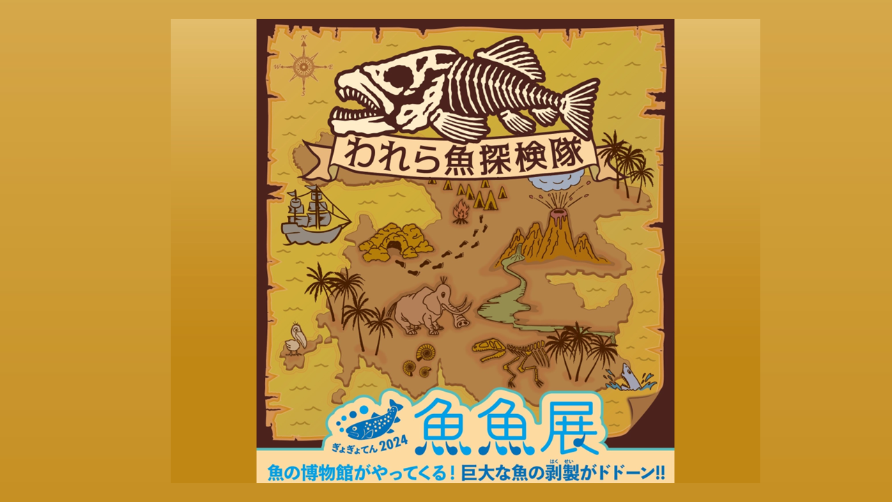 幻の深海魚に会える！日本最大級のはくせい展覧会「魚魚展2024」で海の不思議を体験 | 海と日本PROJECT in 長野